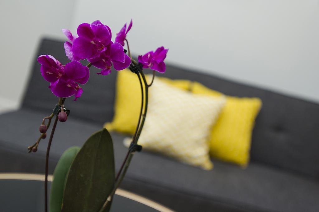 Market Street Apartments - City Centre Modern 1Bedroom Apartments With New Wifi And Very Close To Tram นอตติงแฮม ภายนอก รูปภาพ